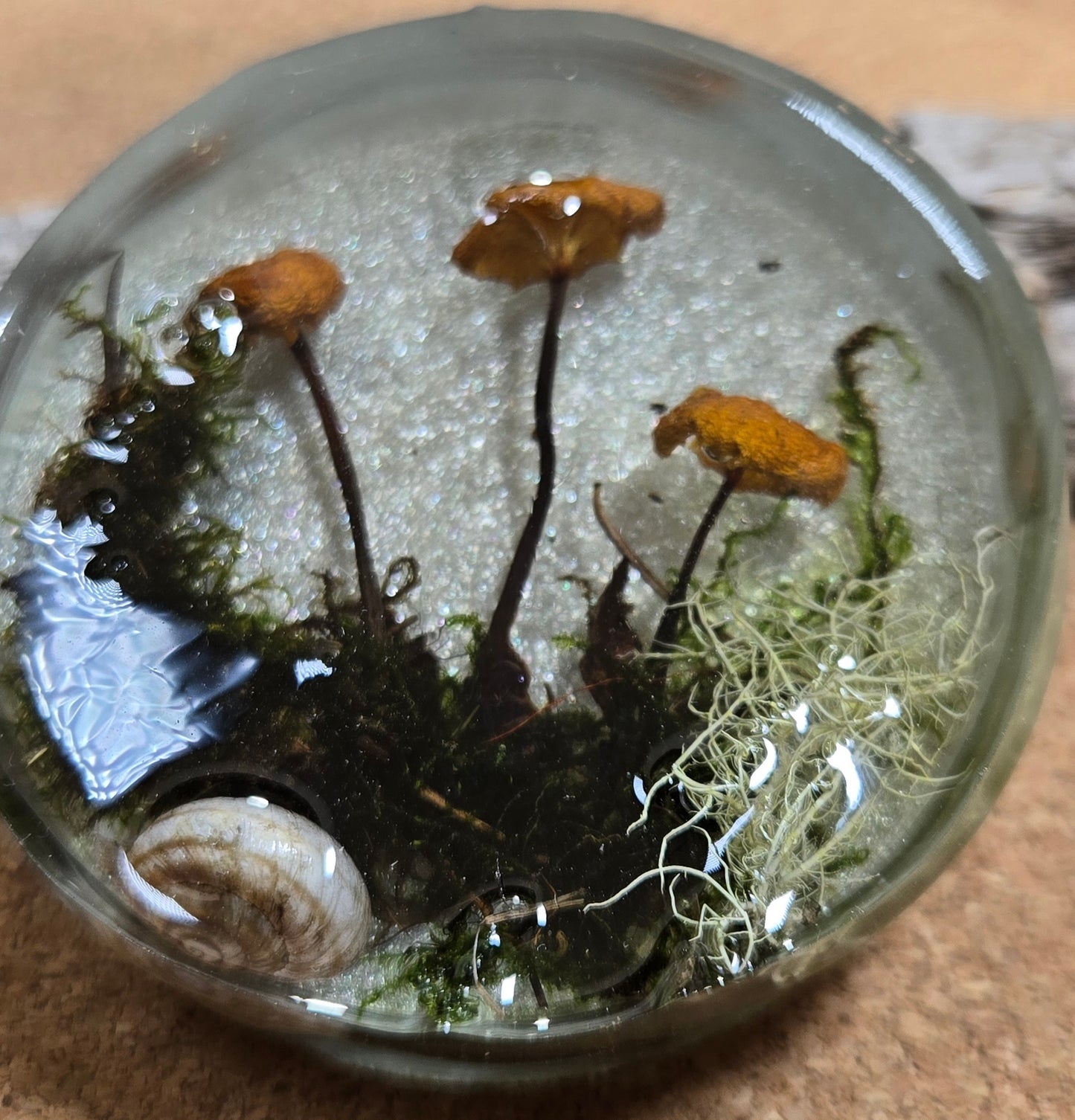 Mushroom magnet 4