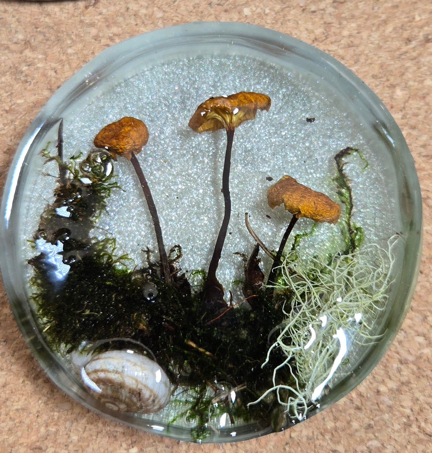 Mushroom magnet 4