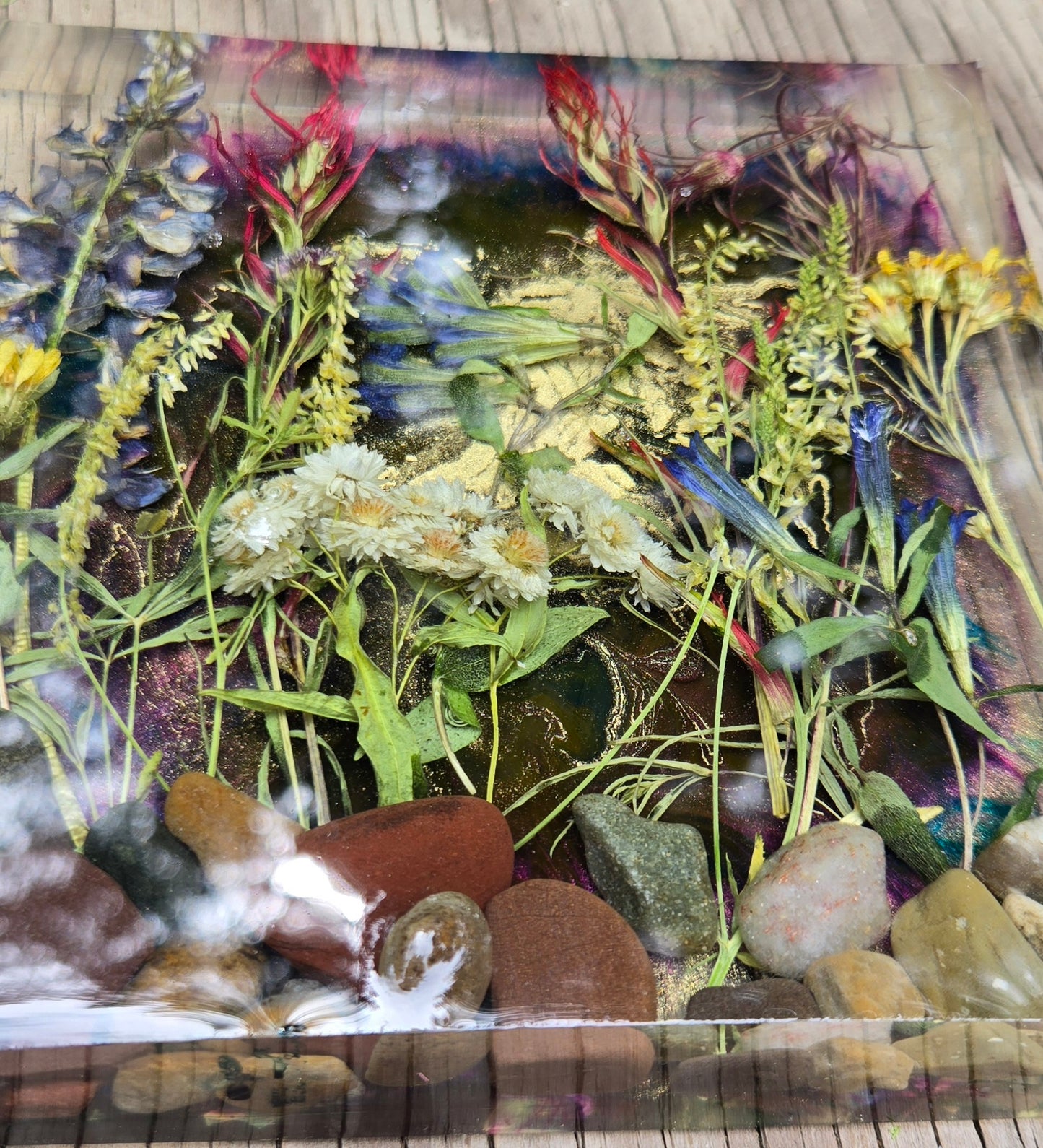 Wildflowers