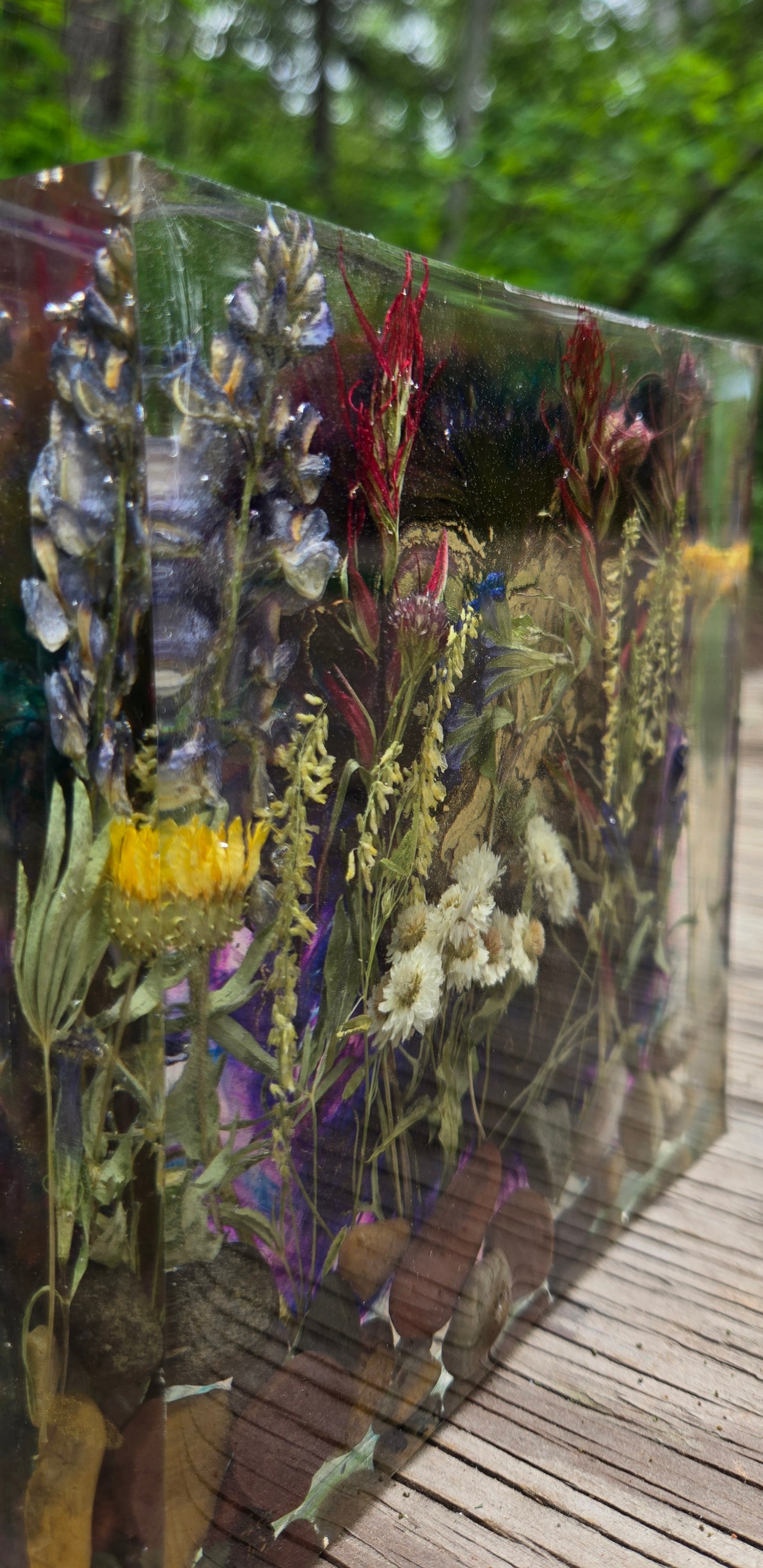 Wildflowers