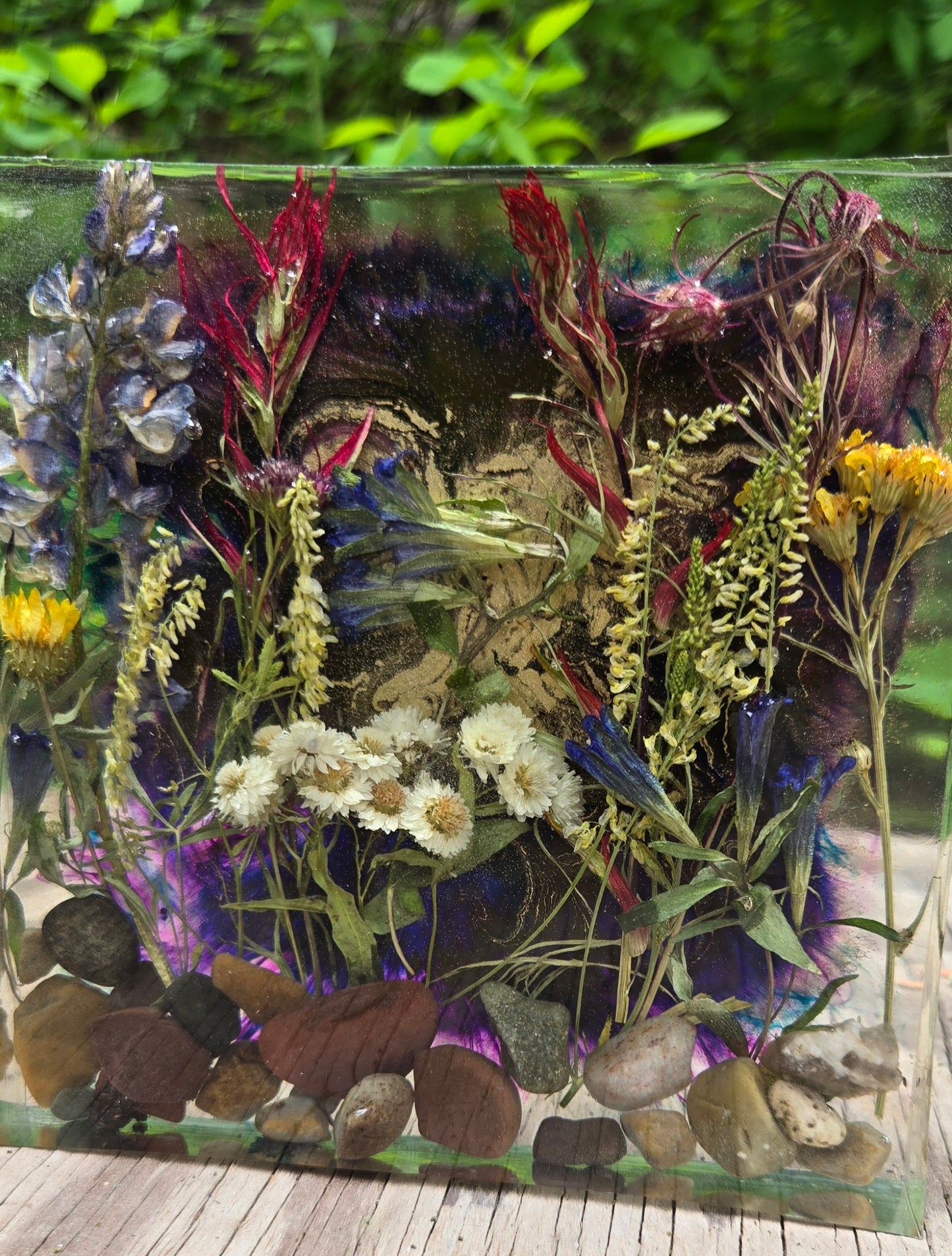 Wildflowers