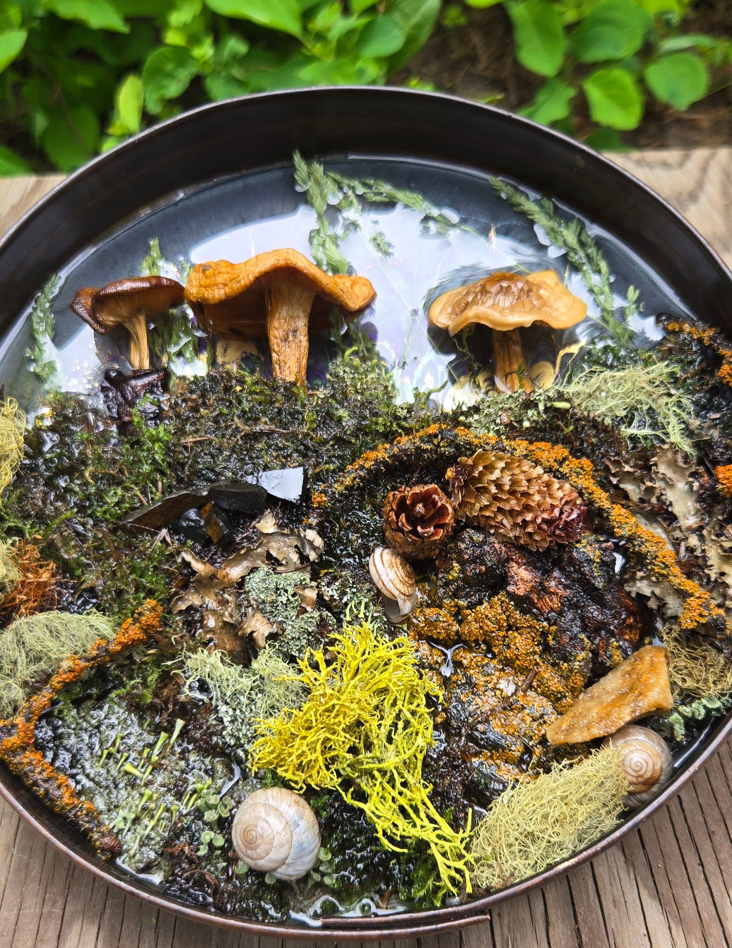 Mushroom wall decore 3