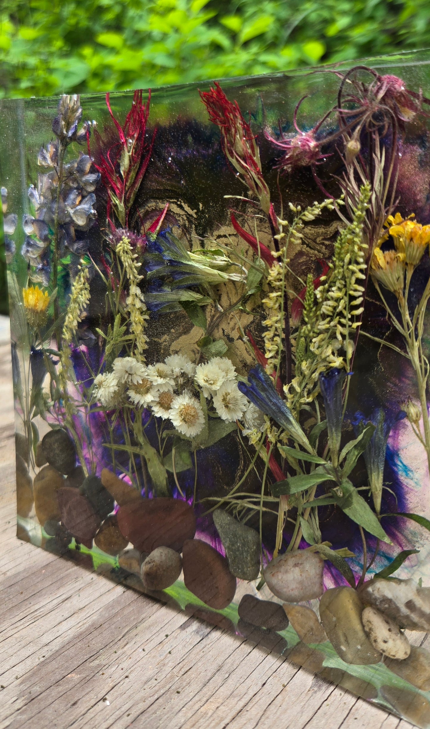 Wildflowers