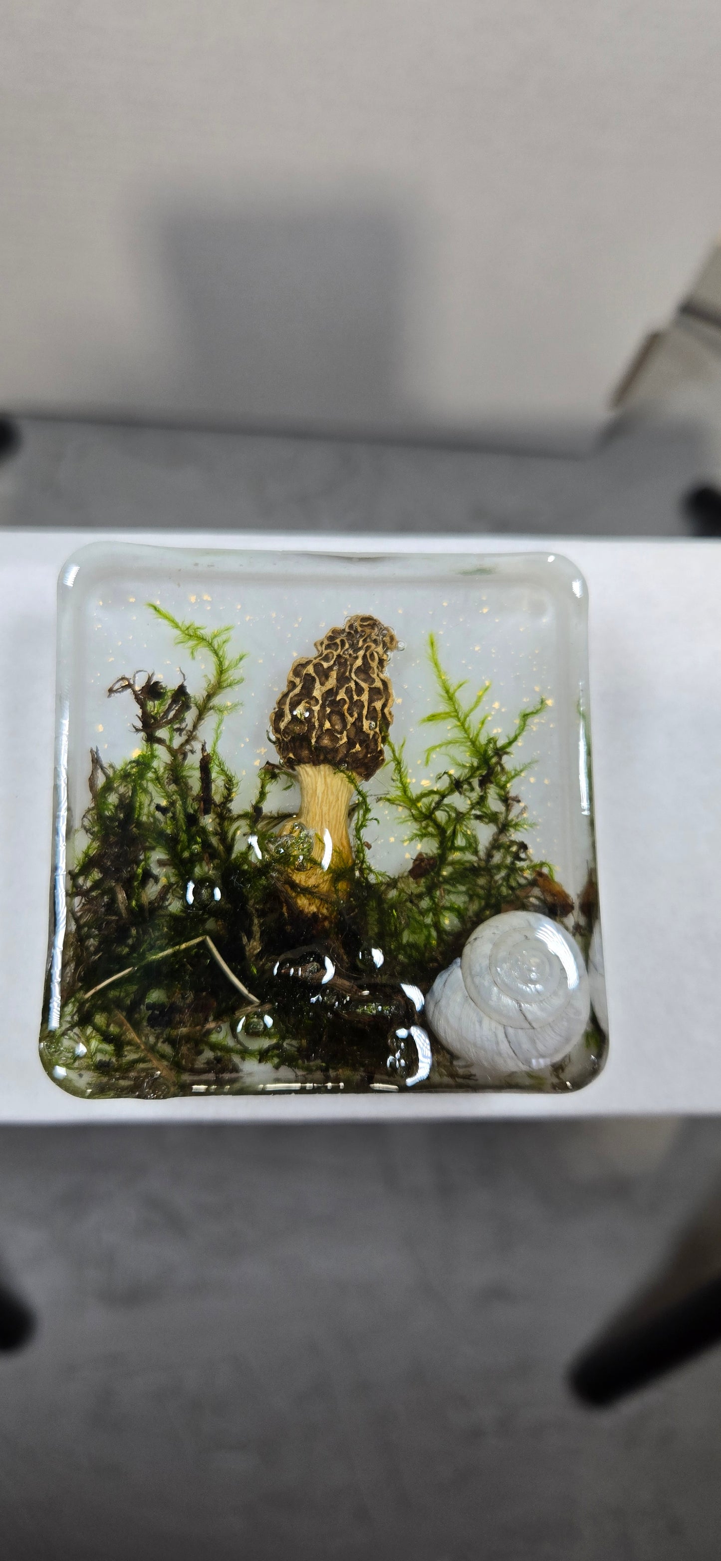 Mushroom magnet