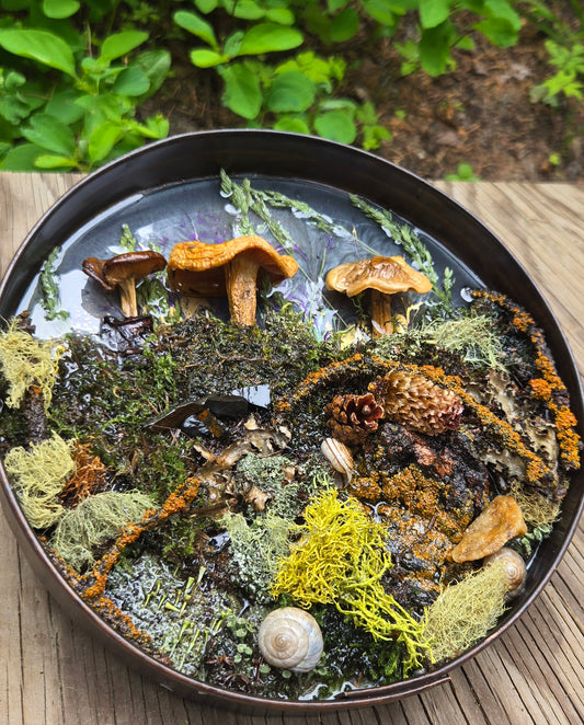 Mushroom wall decore 3