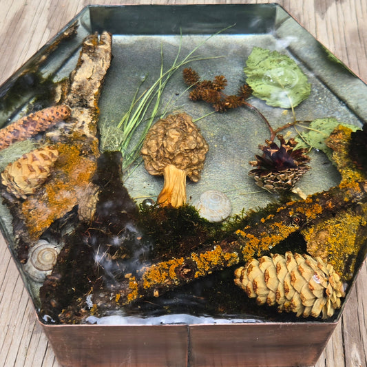 Mushroom standig block
